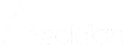 logo ascidian